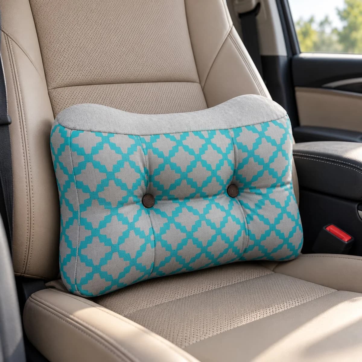Backrest Pillow
