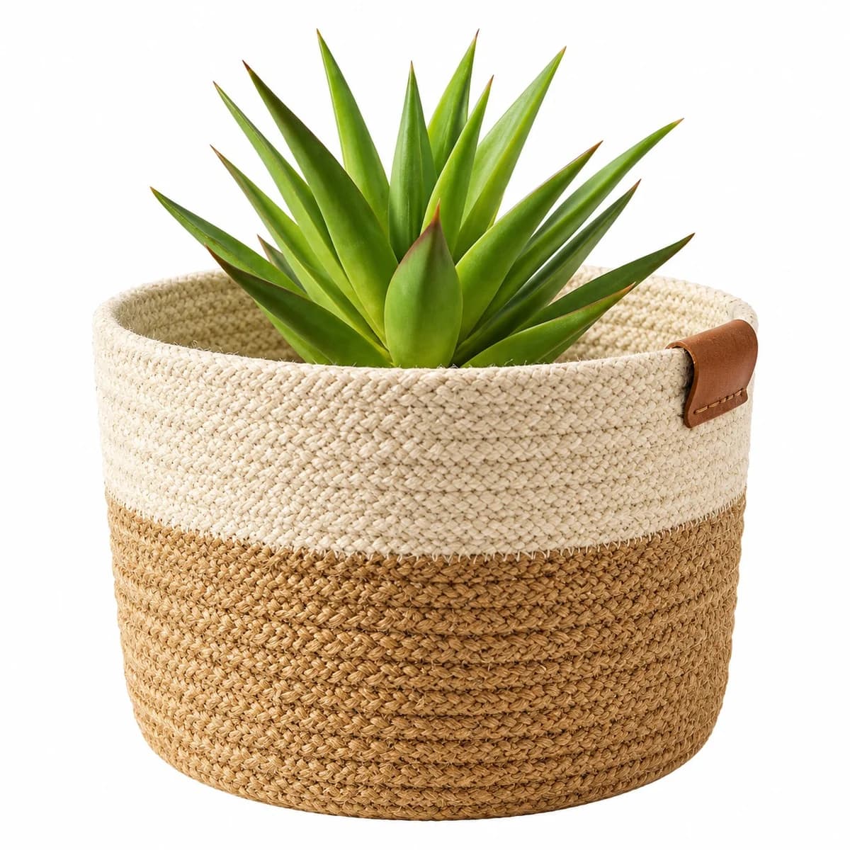 Planter image 2